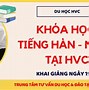 Bạn Học Tiếng Nhật Bao Lâu Rồi