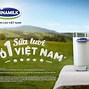 Cửa Hàng Vinamilk Ở Đà Nẵng