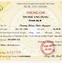 Thi Chứng Chỉ Tin Học Ở Cần Thơ